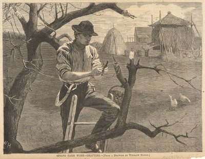 Travail agricole de printemps - Winslow Homer