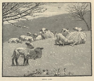 Spring Lamb, tiré de Scribner
