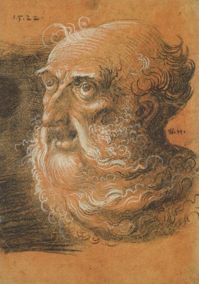 Étude de tête, 1522 - Wolf Huber