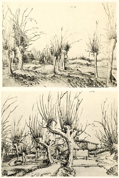 Paysages avec saules - Wolf Huber