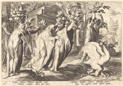 Les sœurs de Phaéton changées en peupliers, Cygnus en cygne - Workshop of Hendrick Goltzius, after Hendrick Goltzius
