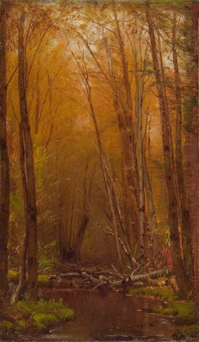 Les bouleaux des Catskills - Worthington Whittredge