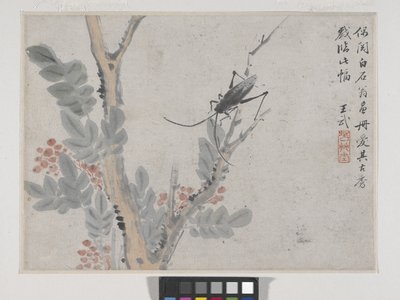 Insecte et arbre après Shen Zhou - Wu Wang