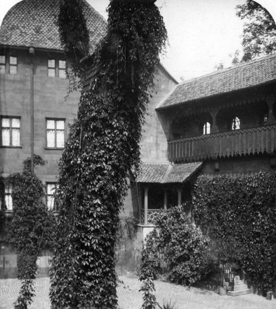 Tilleul dans une cour, Nuremberg, Bavière, Allemagne, vers 1900 - Wurthle and Sons