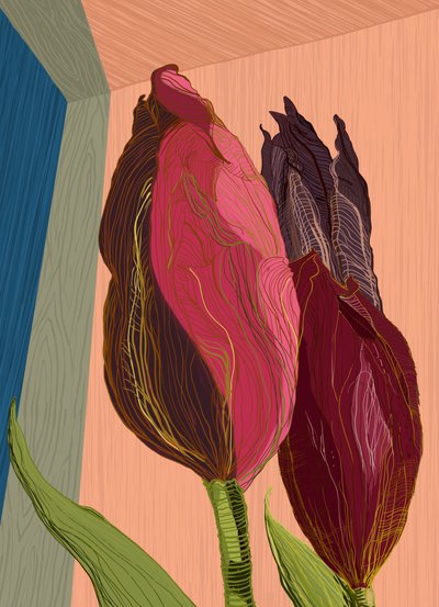 Des tulipes modernes aux couleurs vives - XHOZUCAN