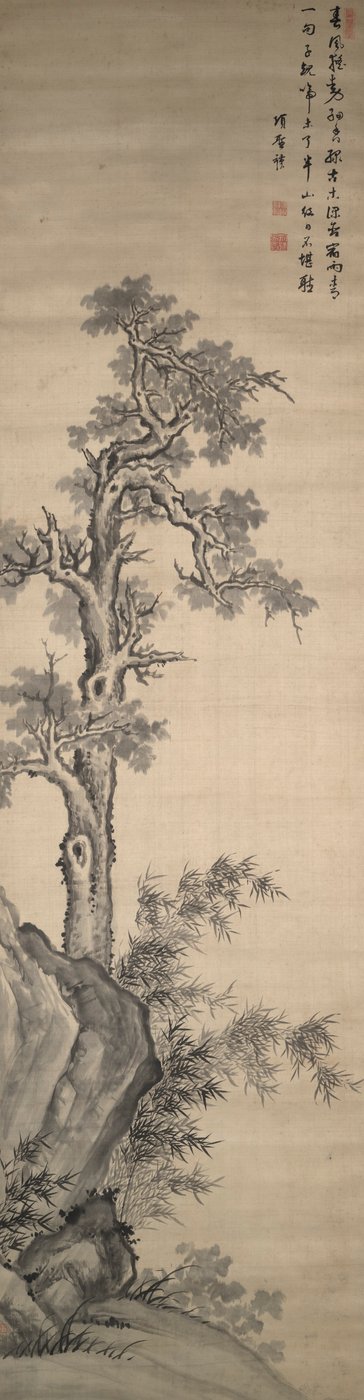 Arbre Wutong, bambou et rocher - Xiang Shengmo