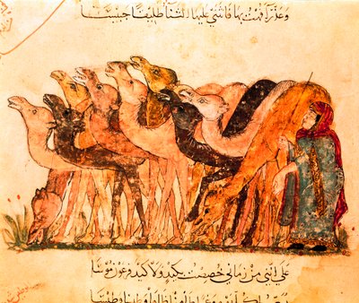 Un groupe de chameaux et le berger de chameaux, de "Maqamat" - Yahya ibn Mahmud Al Wasiti