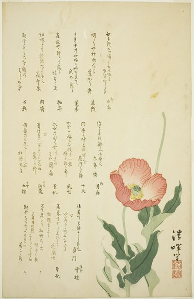 Deux Coquelicots - Yokoyama Seiki
