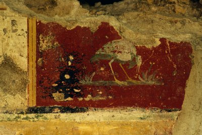 Oiseau, fragment de fresque, Temple-Cryptoportique de Salus Augusta, ancienne ville romaine d