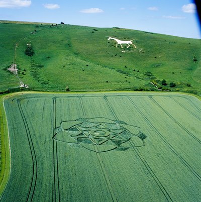 Cercle de culture dans un champ de blé, Milk Hill, Alton Priors, Vale of Pewsey, Wiltshire - Ferdinand Georg Waldmuller