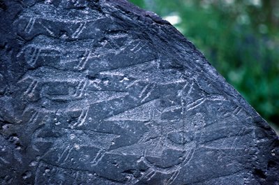 Gros plan des dessins rupestres dans le parc national de Naquane - Isabel Redie