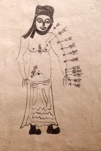 Musée de la Médecine Traditionnelle Vietnamienne, Les canaux et vaisseaux, Livre d