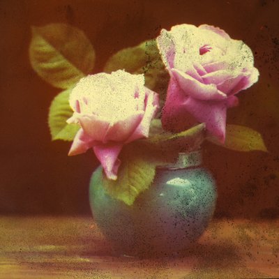 Roses - Frederick (attr. to) Barnard