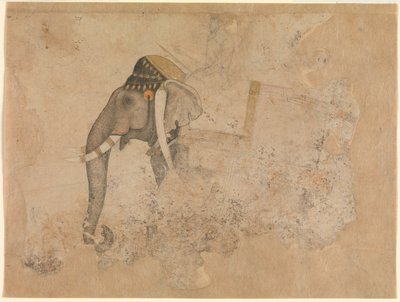 Hashim. Éléphant et Cavalier. vers 1640 Metropolitan Museum of Art, New-York - Hashim