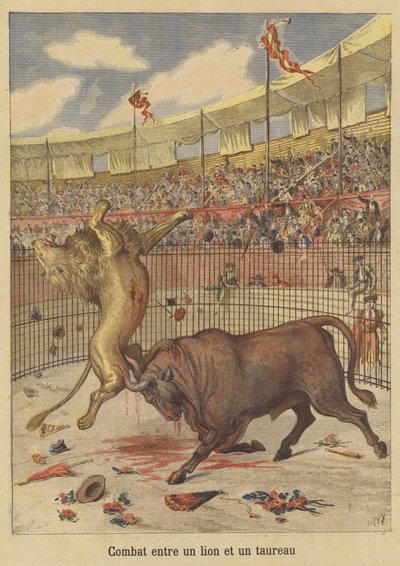 Combat entre un lion et un taureau - after Henri Meyer