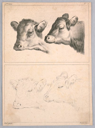Deux têtes de vache, planche n° 2 du 12me Cahier d