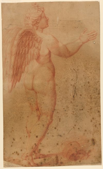 Cupidon d