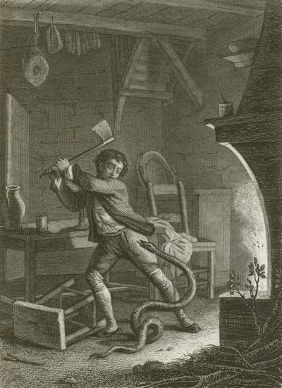 Le Villageois et Le Serpent - after Tony Johannot