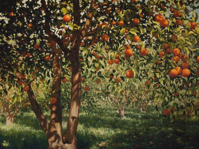 Silence sous les oranges II, 2012 - angus hampel