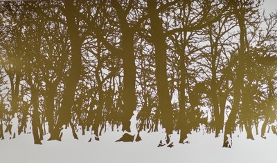 Arbres de vie - angus hampel