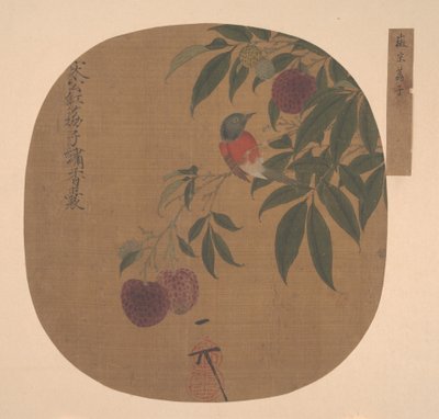 Oiseau sur une branche de litchi - anonymous 
