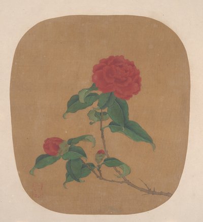 Fleurs de camélia - anonymous 