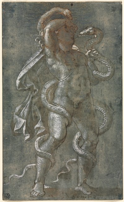 Homme enlacé par deux serpents - attributed to Giovanni Antonio da Pordenone