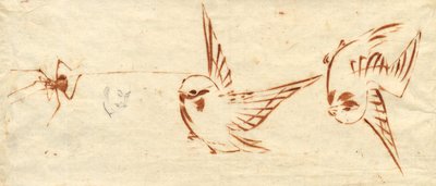Page de croquis avec oiseaux et araignée - attributed to Katsushika Hokusai