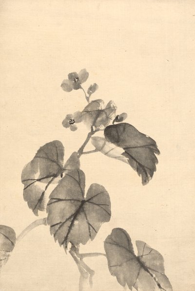 Branche de bégonia en fleur - attributed to Kono Bairei