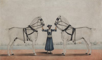 Un palefrenier tenant deux chevaux de carrosse - attributed to Shaikh Muhammad Amir of