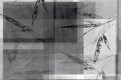 Abstrait : Couches de bambou - cartissi
