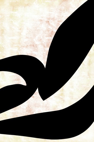 Courbes calligraphiques abstraites - cartissi