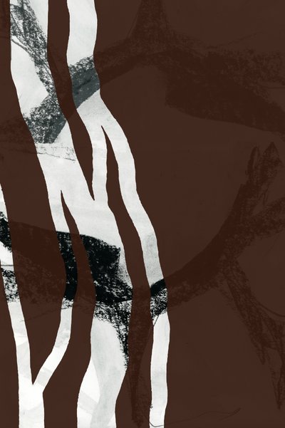 Lignes forestières abstraites - cartissi