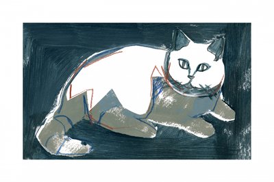 Chat blanc artistique - cartissi