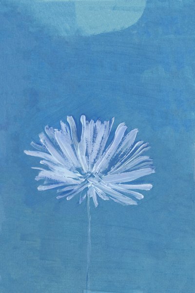 Fleur de la Lune bleue - cartissi