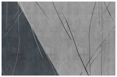 Lignes abstraites gris clair - cartissi