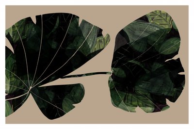Feuilles tropicales sombres - cartissi