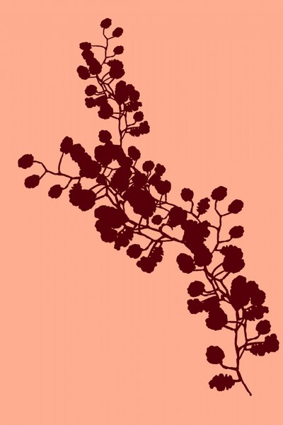Élégante silhouette florale - cartissi