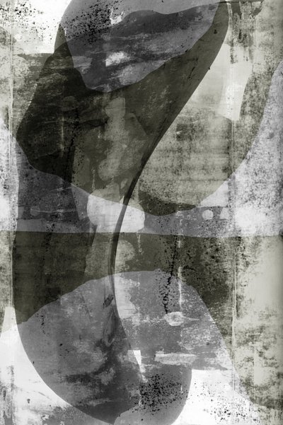 Formes monochromes fluides - cartissi