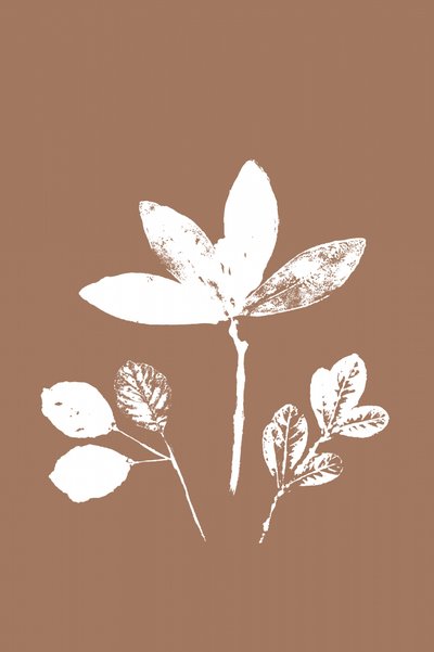 Feuilles contrastées - cartissi