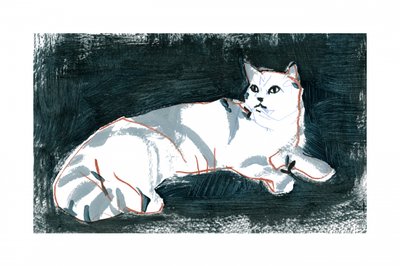 Le chat blanc qui ment - cartissi