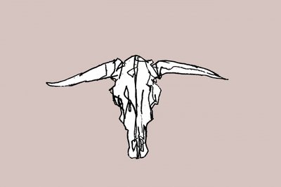 Crâne Longhorn minimaliste - cartissi