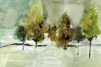 Arbres verts dans la brume - cartissi
