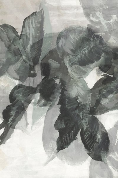 Flux botanique monochrome - cartissi