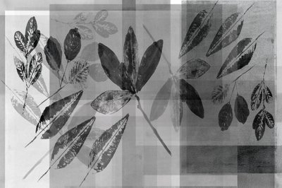Superpositions botaniques monochromes - cartissi