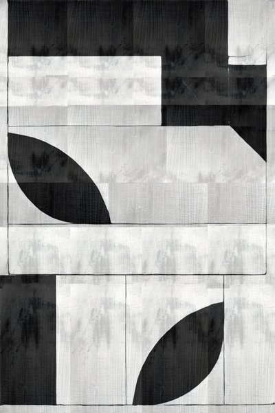 Formes organiques monochromes - cartissi