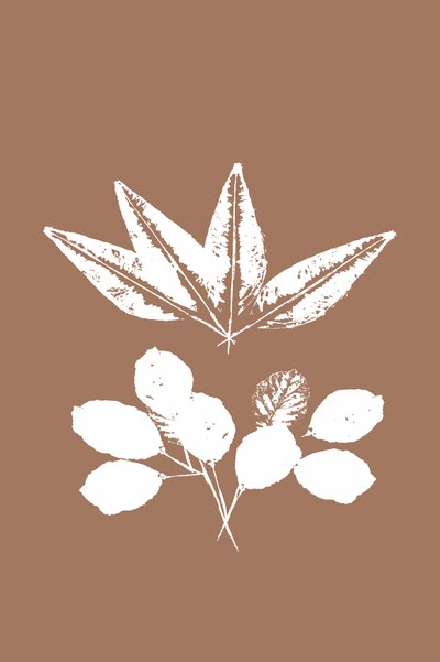 Silhouettes de feuilles organiques - cartissi