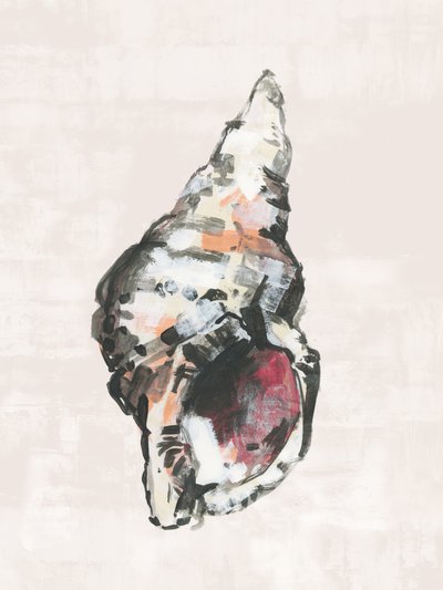 Coquillage peint de la côte - cartissi