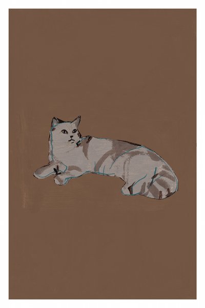Chat gris détendu - cartissi
