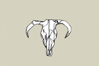 Crâne de taureau rustique - cartissi